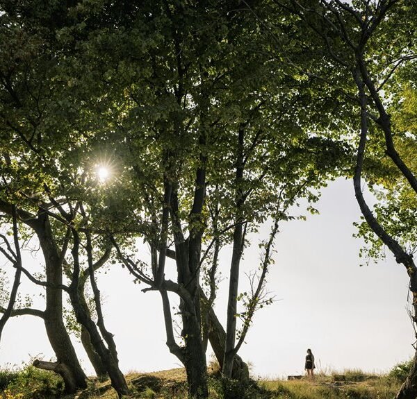 Updated Public Lookup for 0120829761 With Safety Overview