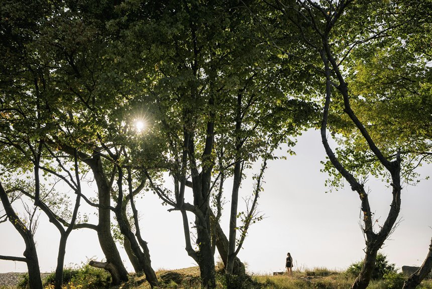 public lookup safety update