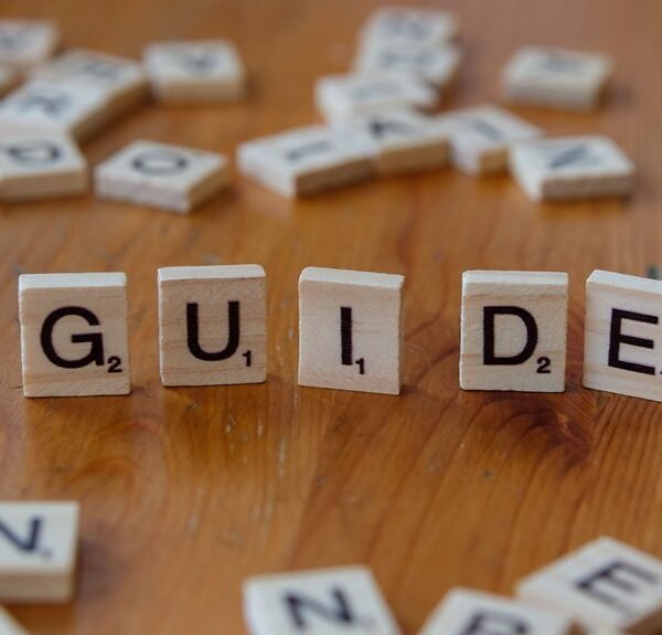 a beginner friendly guide